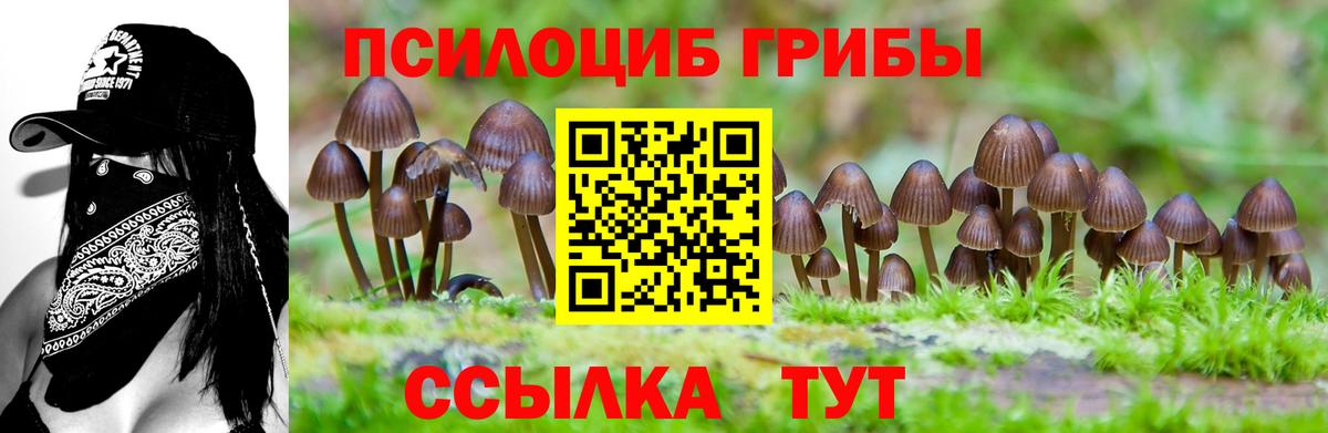 Псилоцибиновые грибы ЛСД  Вход с VPN  Выкса 