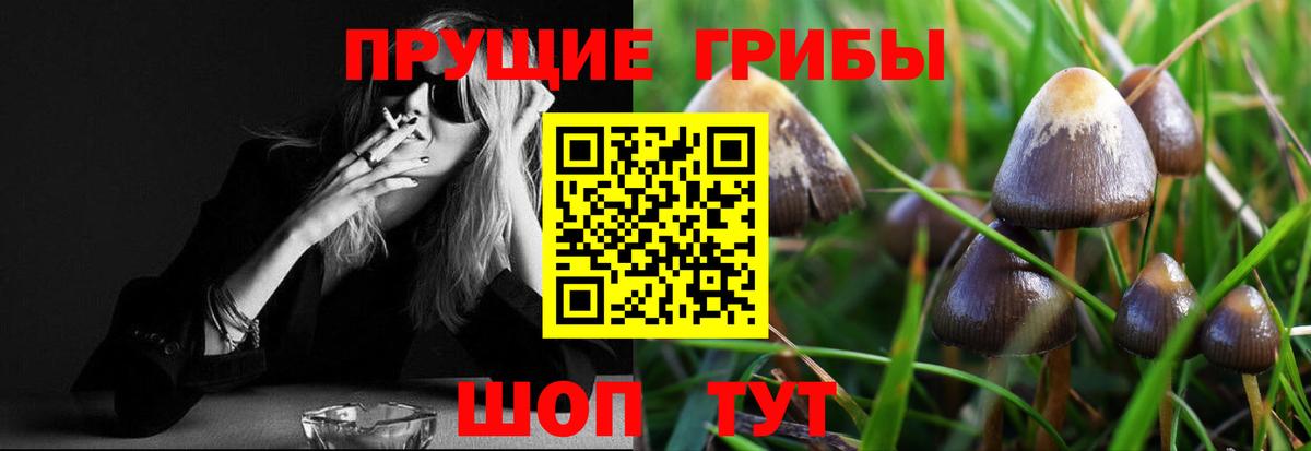 Псилоцибиновые грибы Psilocybine cubensis Выкса