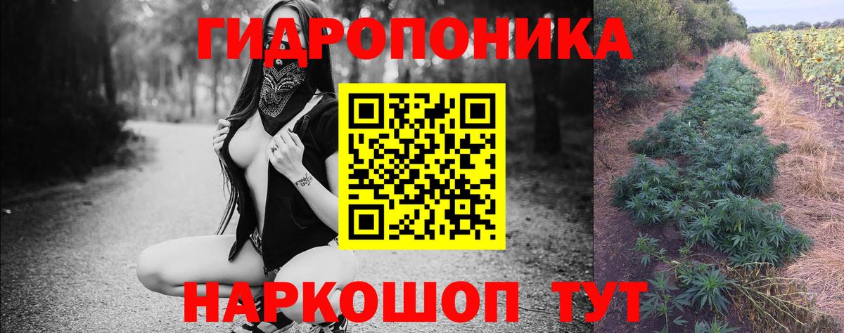 ГАШ Выкса